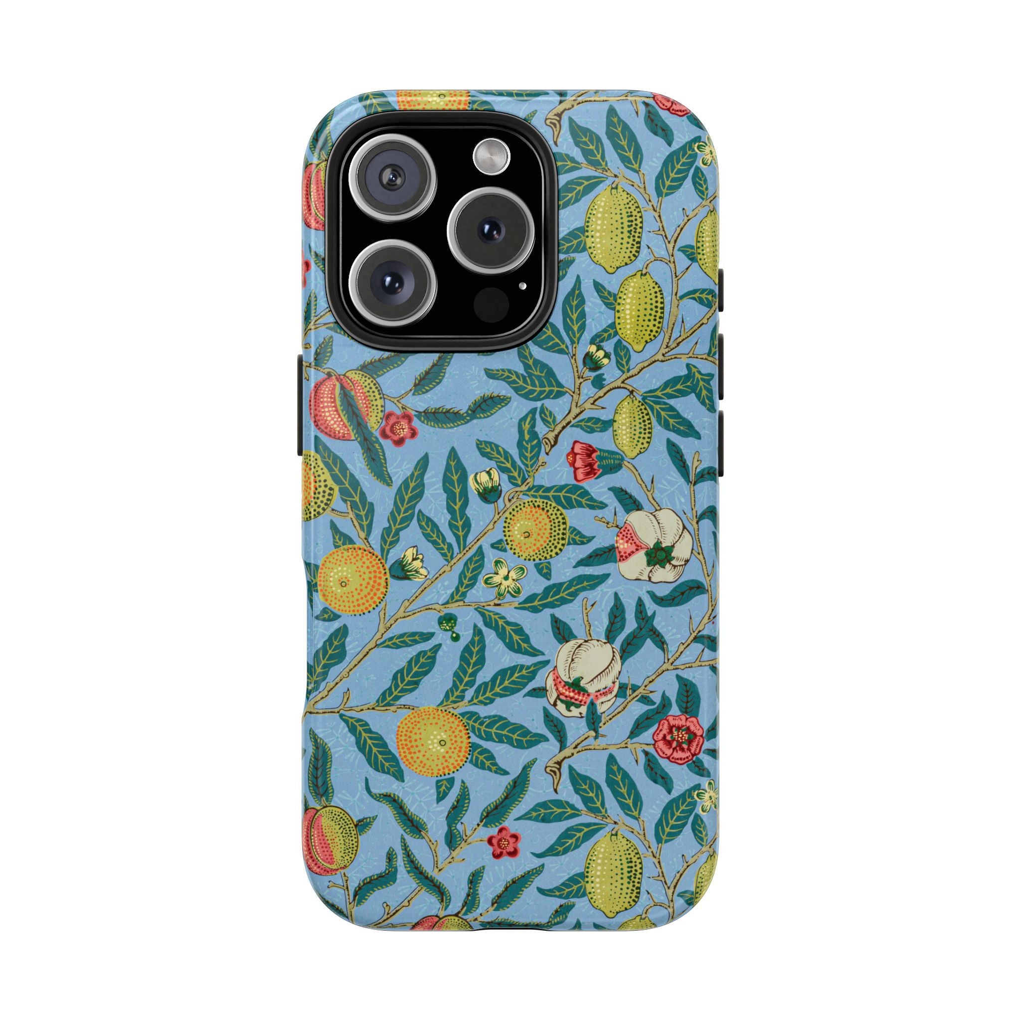 Four Fruits Museum Collection iPhone Case