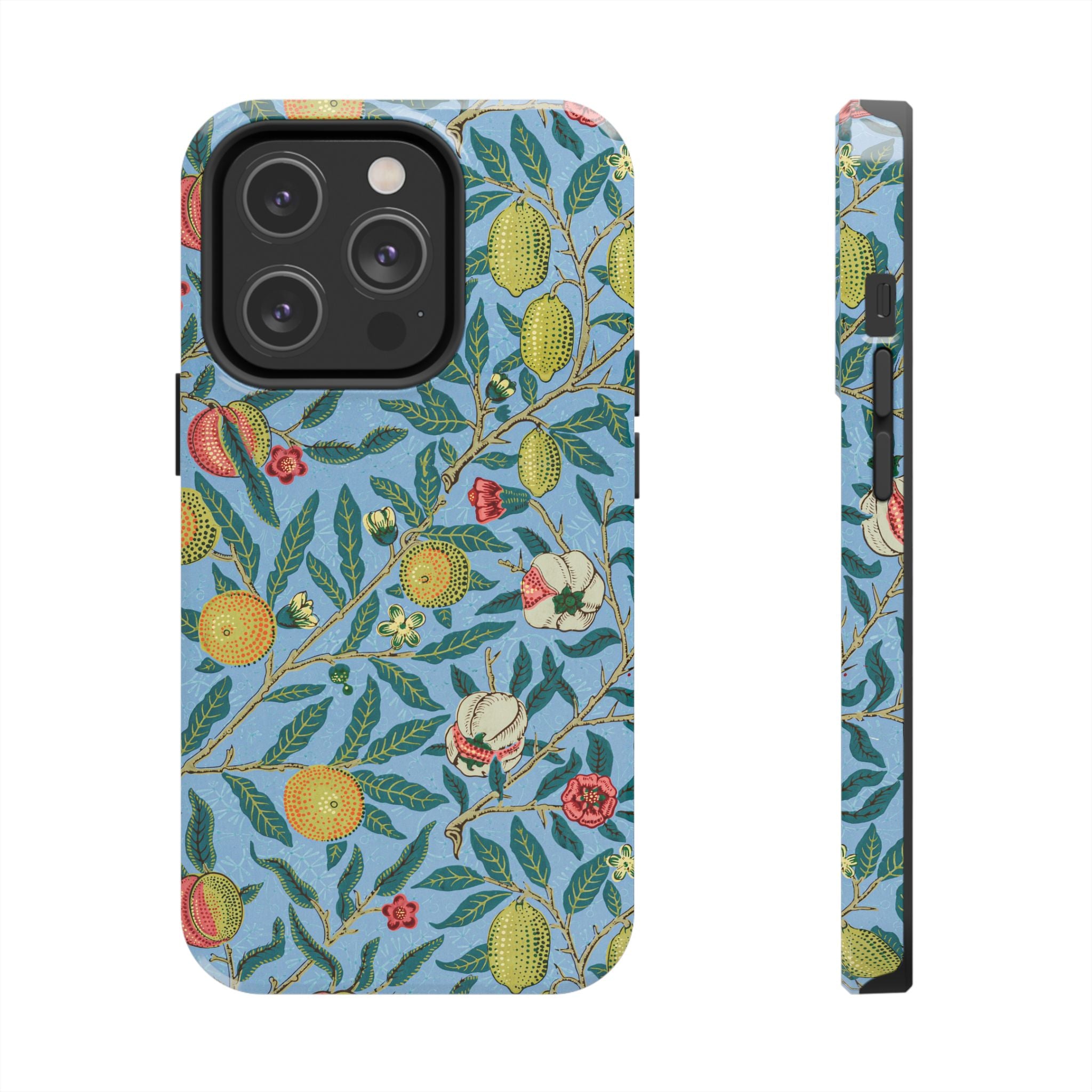 Four Fruits Museum Collection iPhone Case