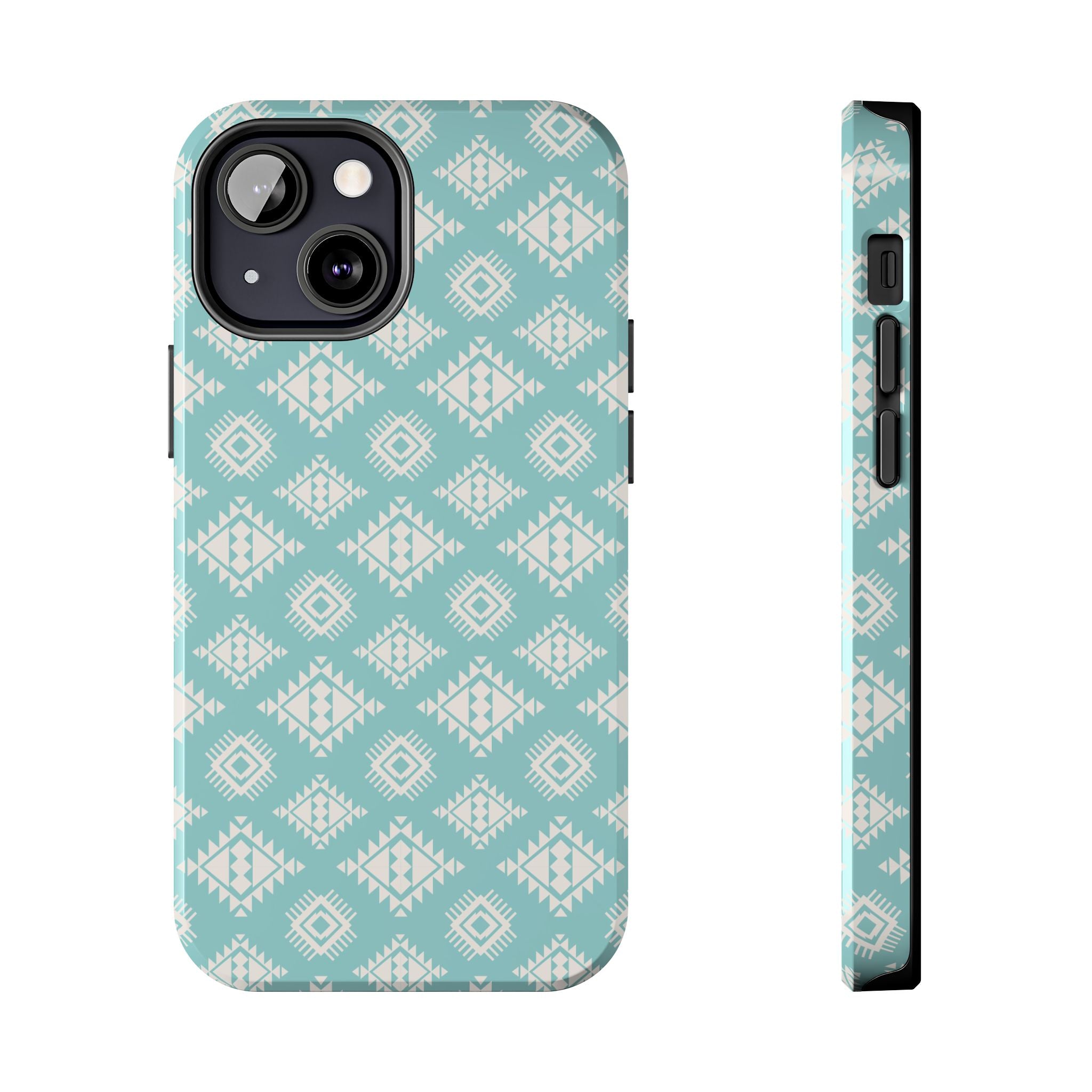 Arizona Southwest iPhone Case