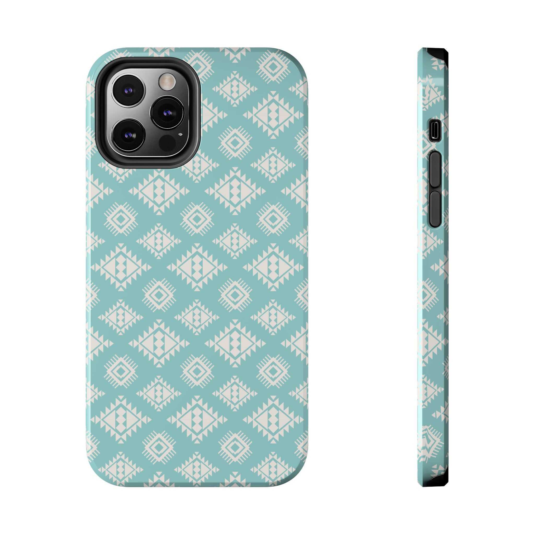Arizona Southwest iPhone Case
