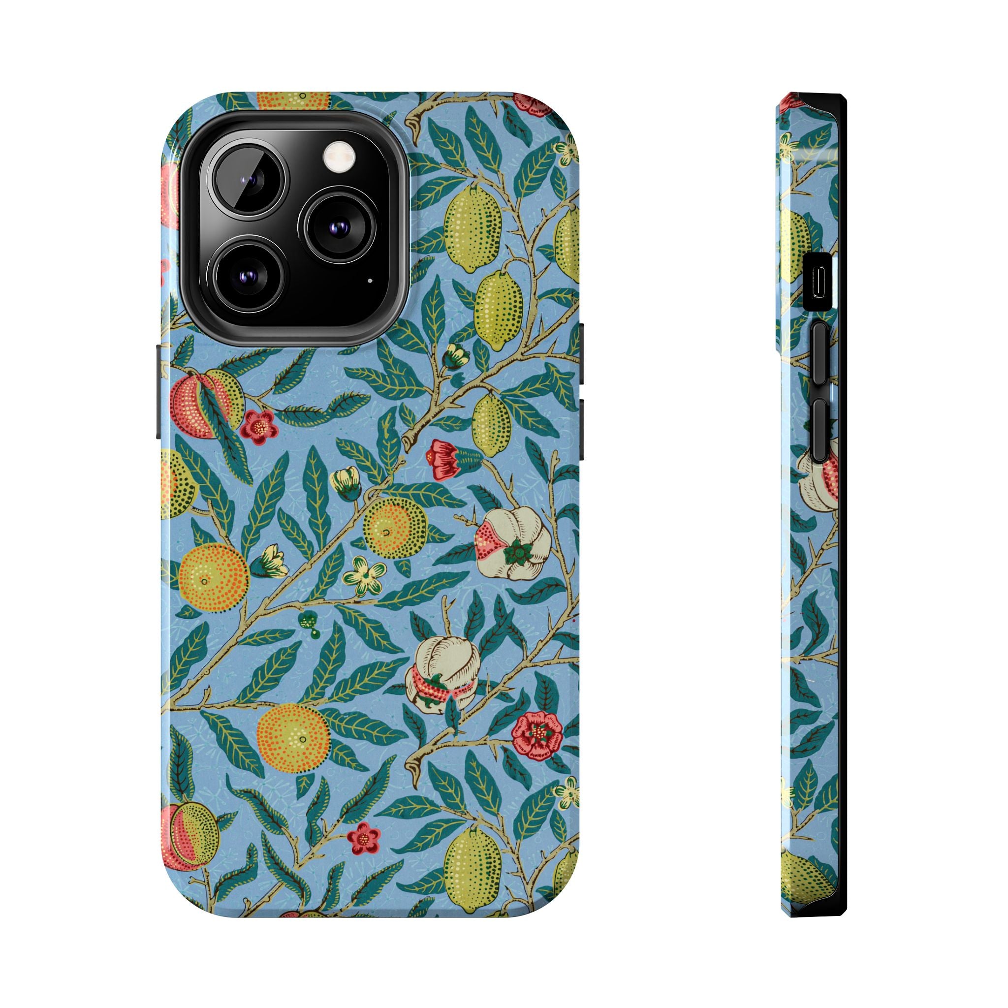 Four Fruits Museum Collection iPhone Case