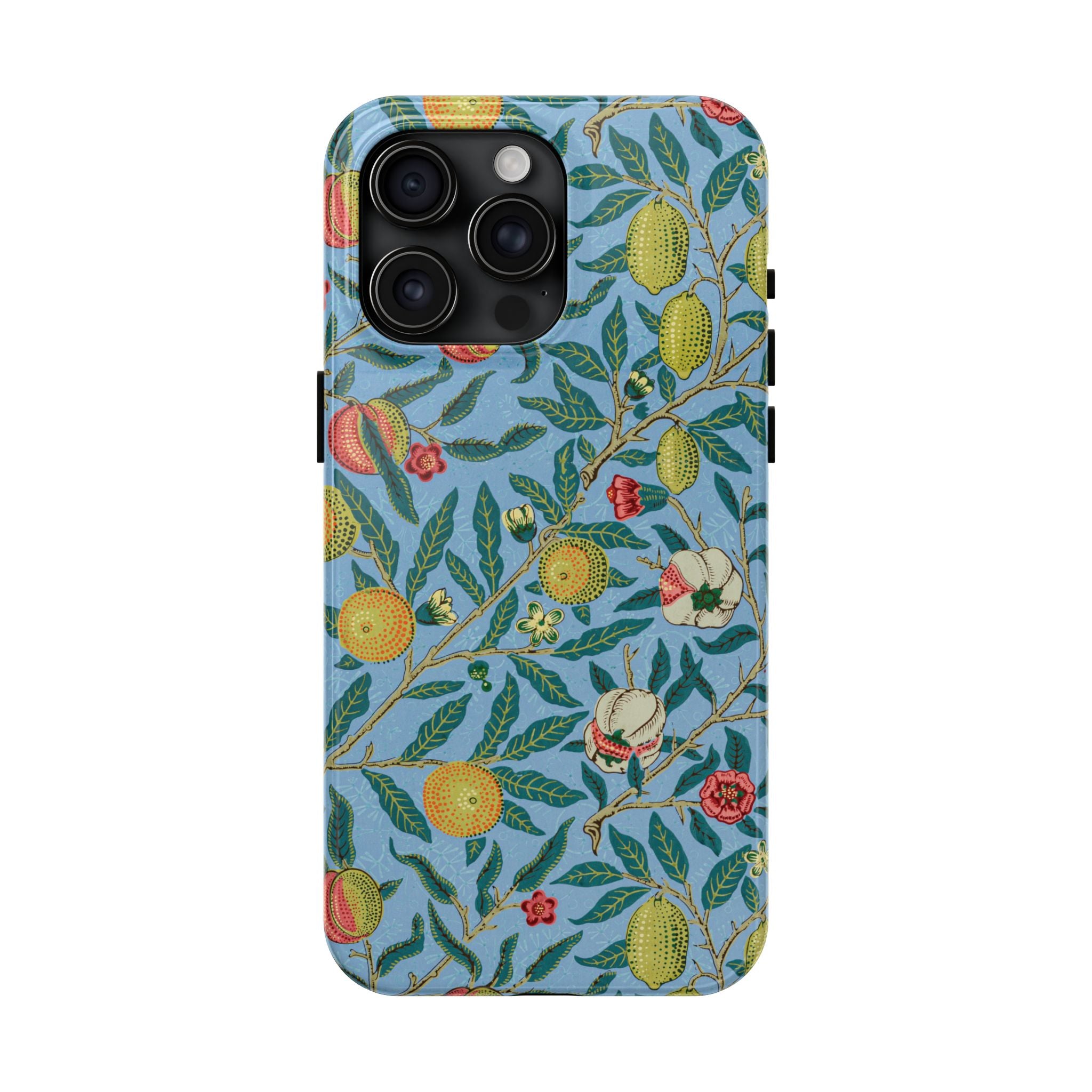 Four Fruits Museum Collection iPhone Case