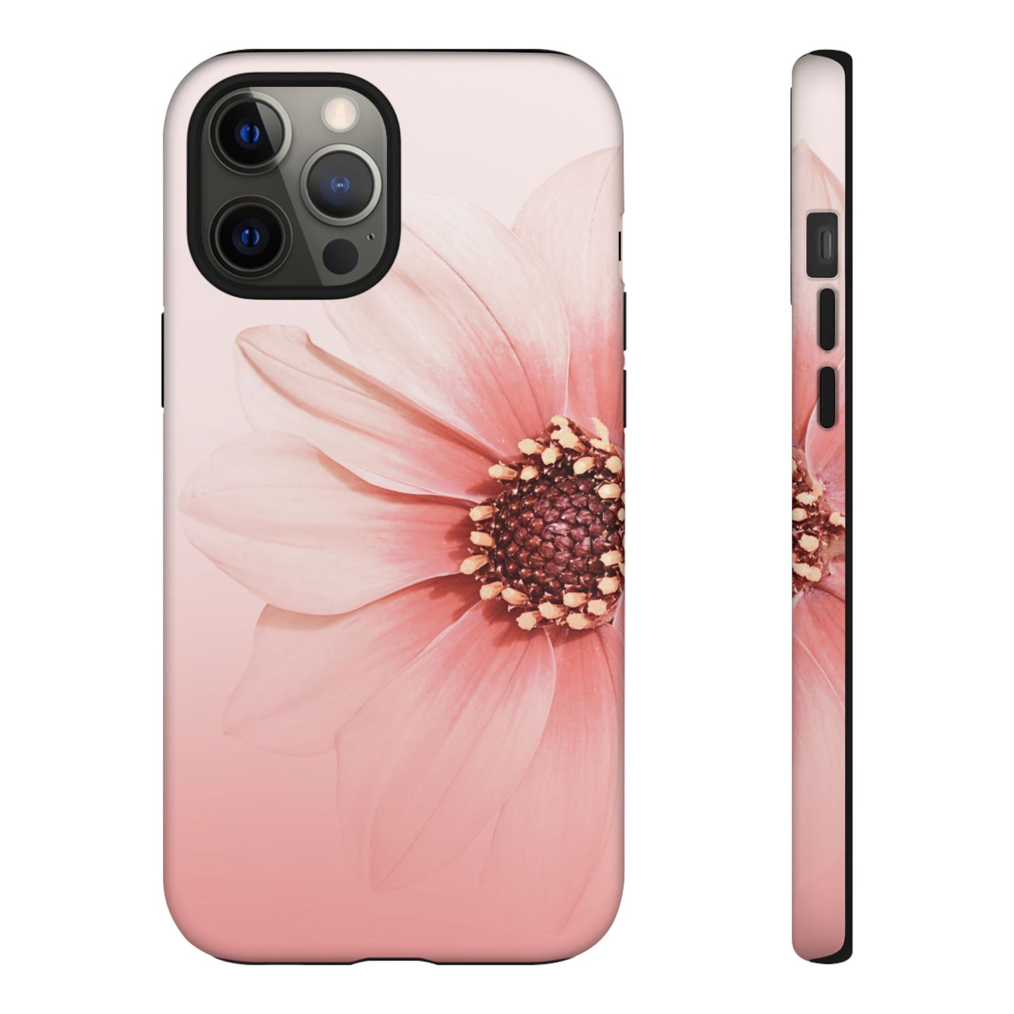 Daisy | Pink Gradient Flower Case