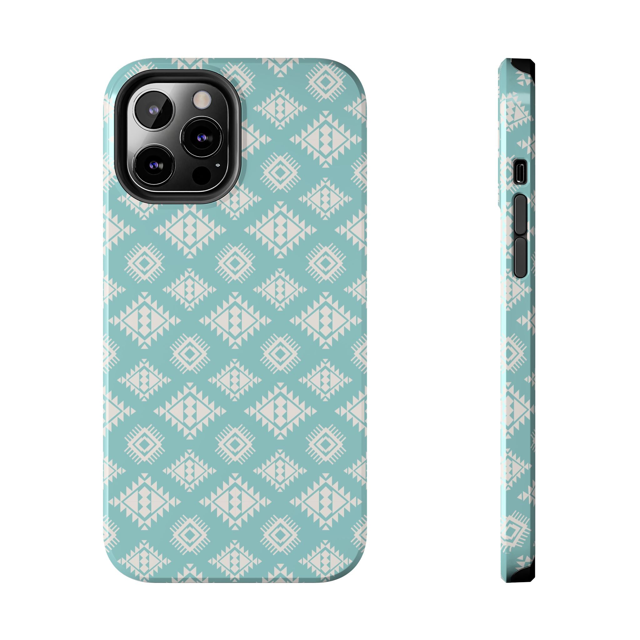 Arizona Southwest iPhone Case