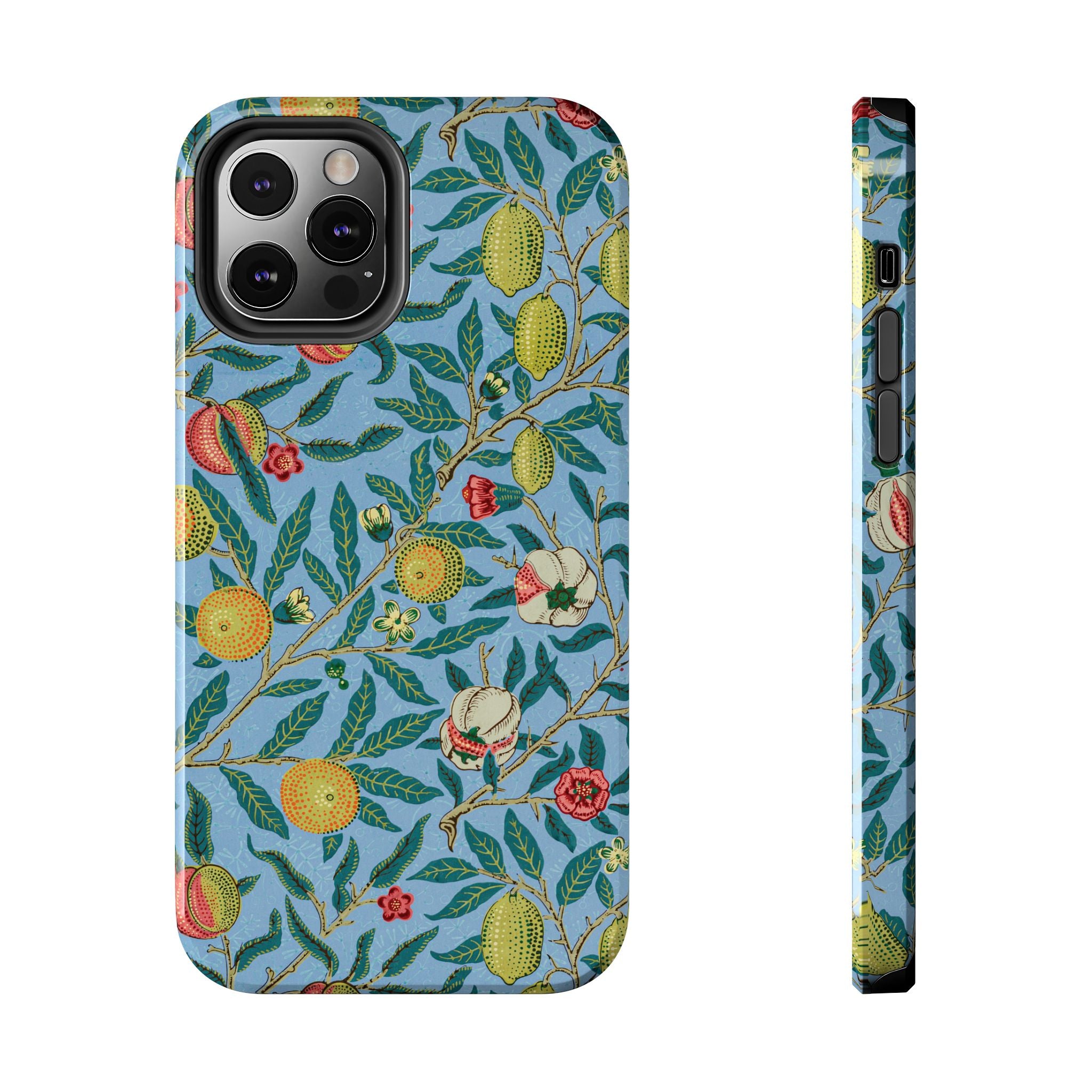 Four Fruits Museum Collection iPhone Case